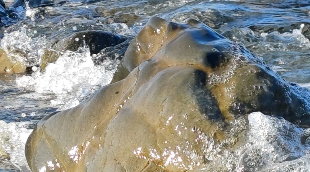 Was bedeutet Lebendigkeit?