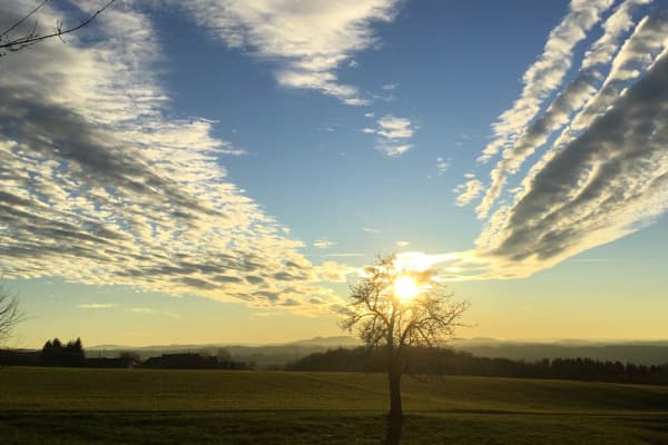 Natur-Coaching Atmen in der Natur, der Weite, Himmel mit Sonnenuntergang hintern Baum - Copyright SStrohschnitter Michaela Höhle 2024